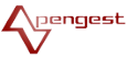 PENGEST Logo
